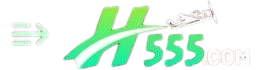h555